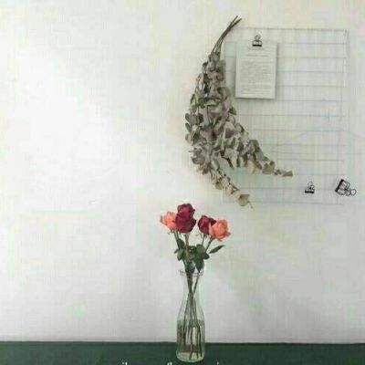 终极数码暴龙内购破解版下载